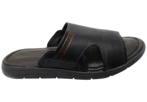 Democrata Jeff Herren Leder Bequeme Slide Sandalen Hergestellt in Brasilien Democrata Schuhe